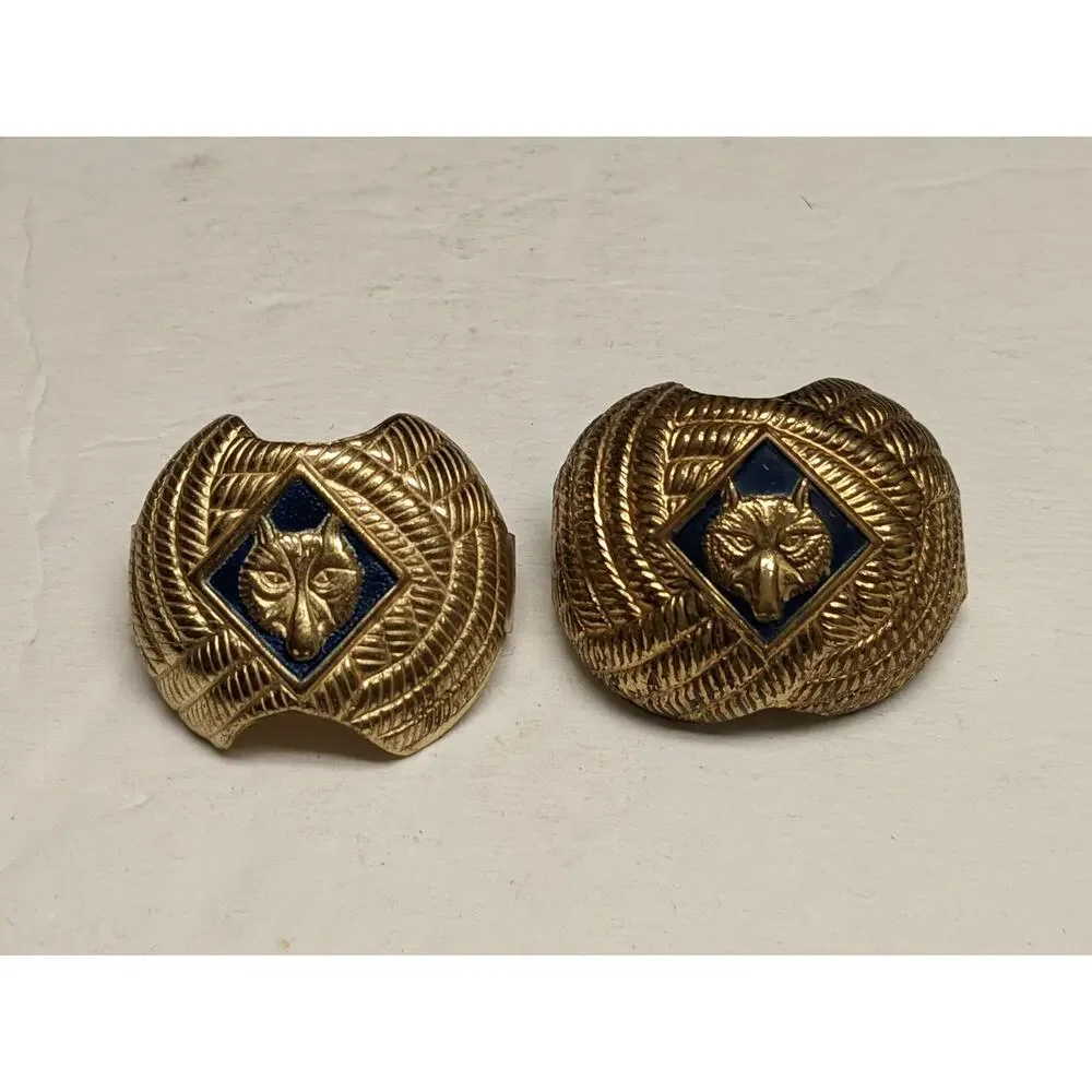 Scouting America cub scouts